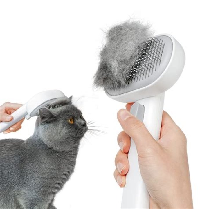 10 Best Brushes for Cats 2020 [Buying Guide] Geekwrapped
