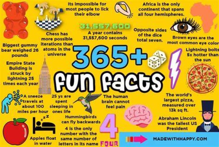 10 Interesting Facts About Weijia Jiang You Do Not Wish to Miss Out