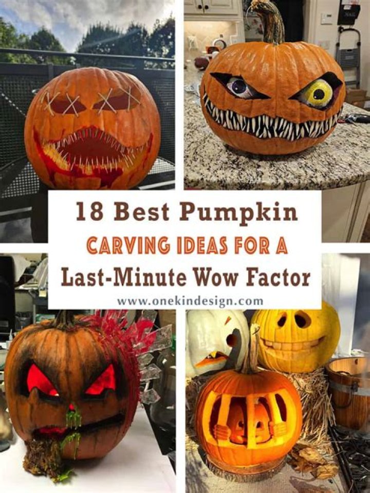 10 Of The Best Pumpkin Patches Around Chicago Secret Chicago