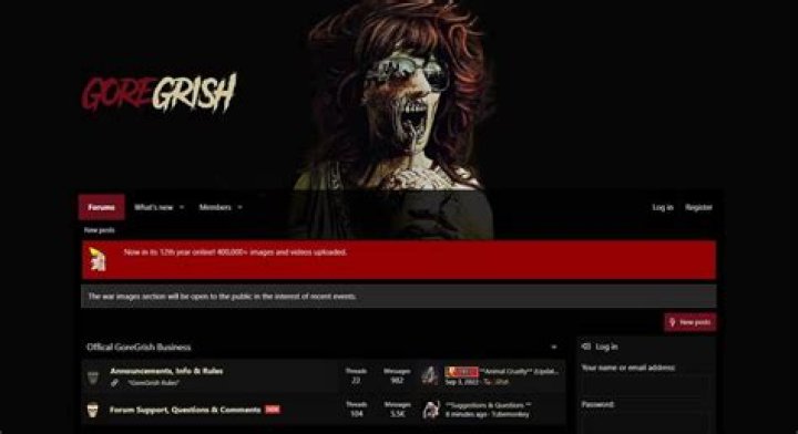 10 Top BestGore Alternative Updated List For Free