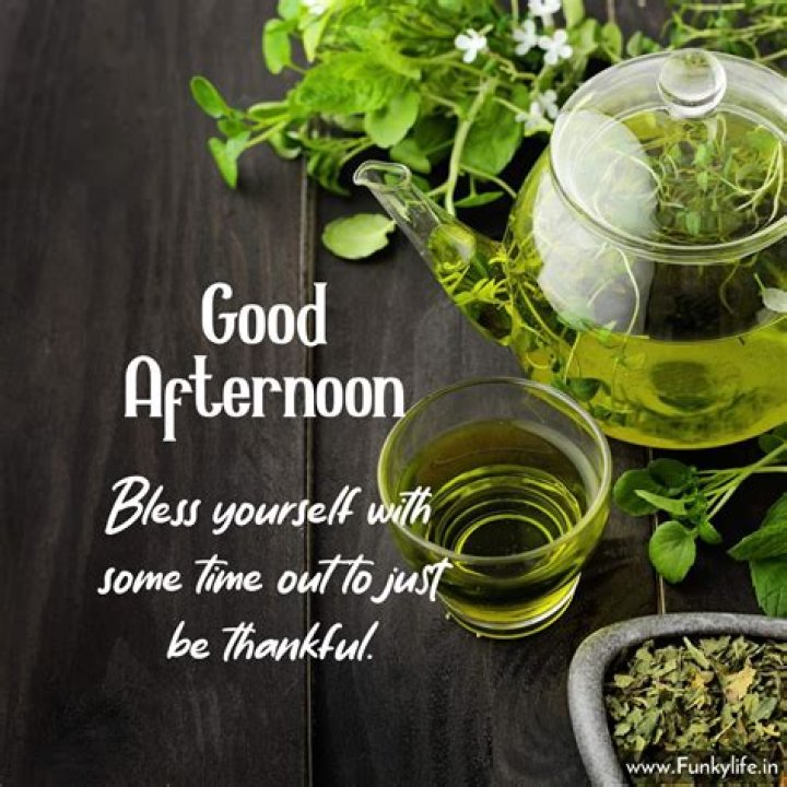100+ BEST Good Afternoon Images, Photos, Pictures for WhatsApp Good