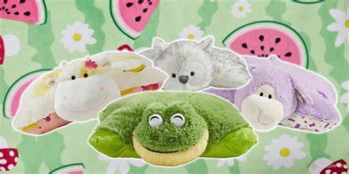 1000+ images about pillow pets on Pinterest Childs bedroom, Pikachu