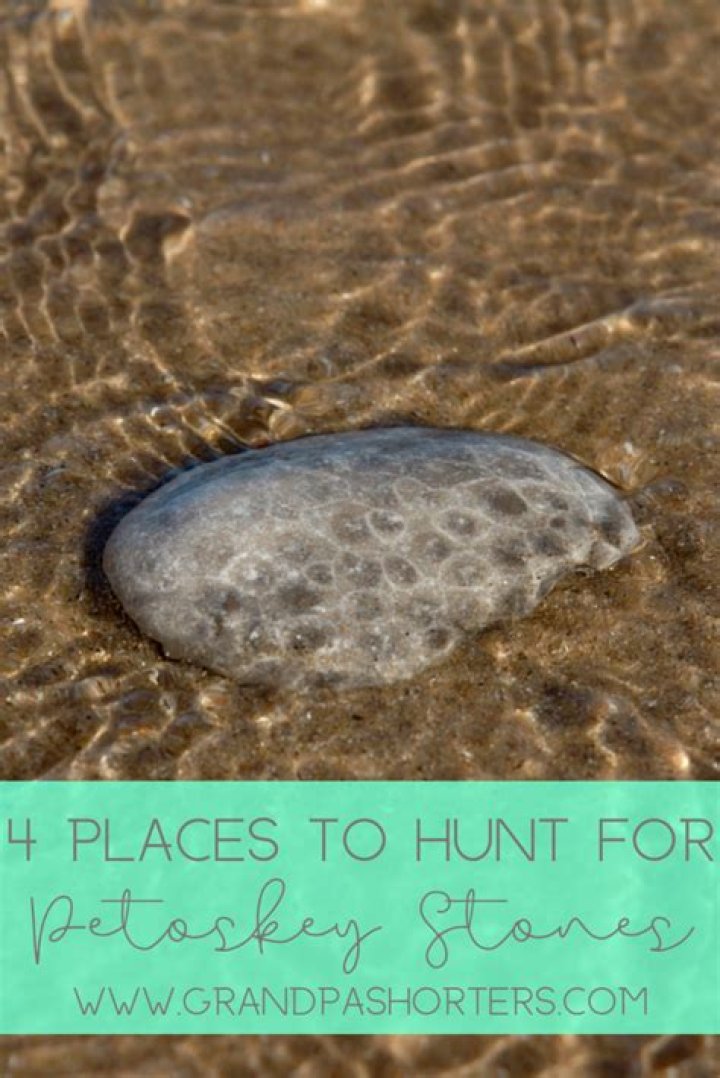 15 Places to Find Petoskey Stones in Michigan RockHunting Guide (2023)