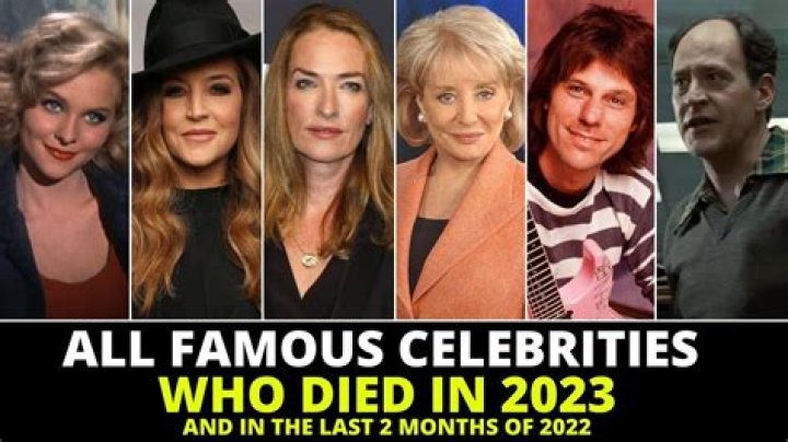 17 Celebs Who Have Had A Cosmetic Surgery Wonder Wardrobes