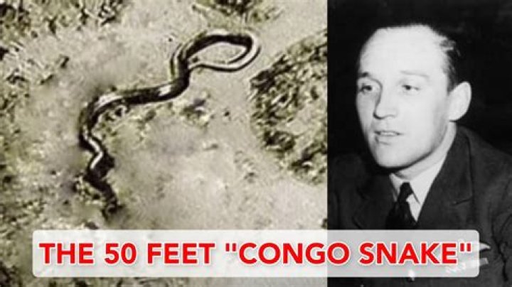 1959, August The Congo Snake Photo [Patrons Only] Anomalies the