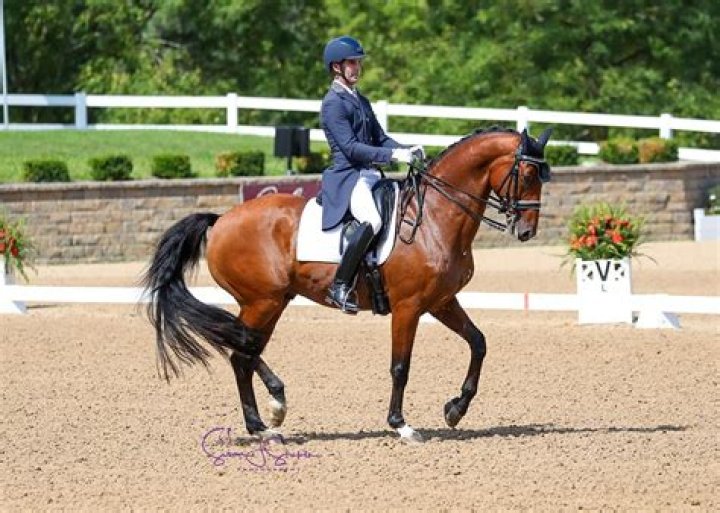2019 U.S. Dressage Festival of Champions 160 Combinations, 12