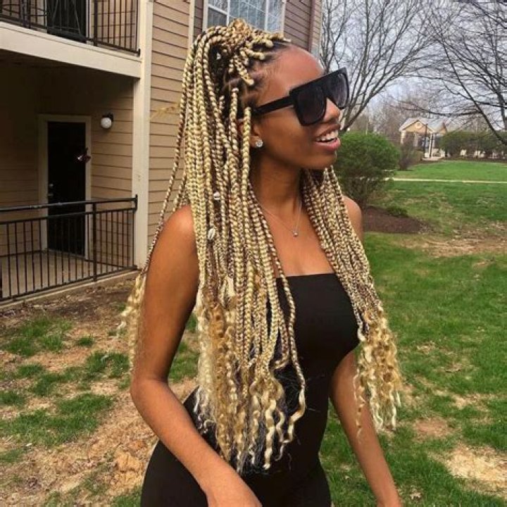 24 Inch Xpression Braiding Jumbo Hair Small box braids hairstyles