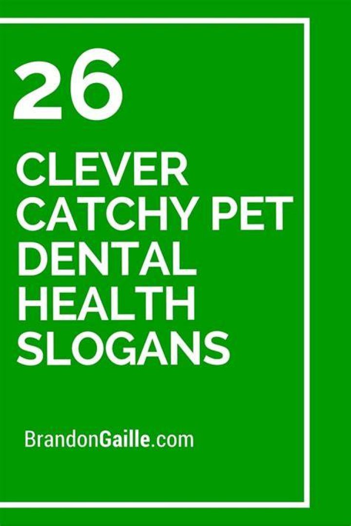 26 Clever Catchy Pet Dental Health Slogans Dental health, Slogan and
