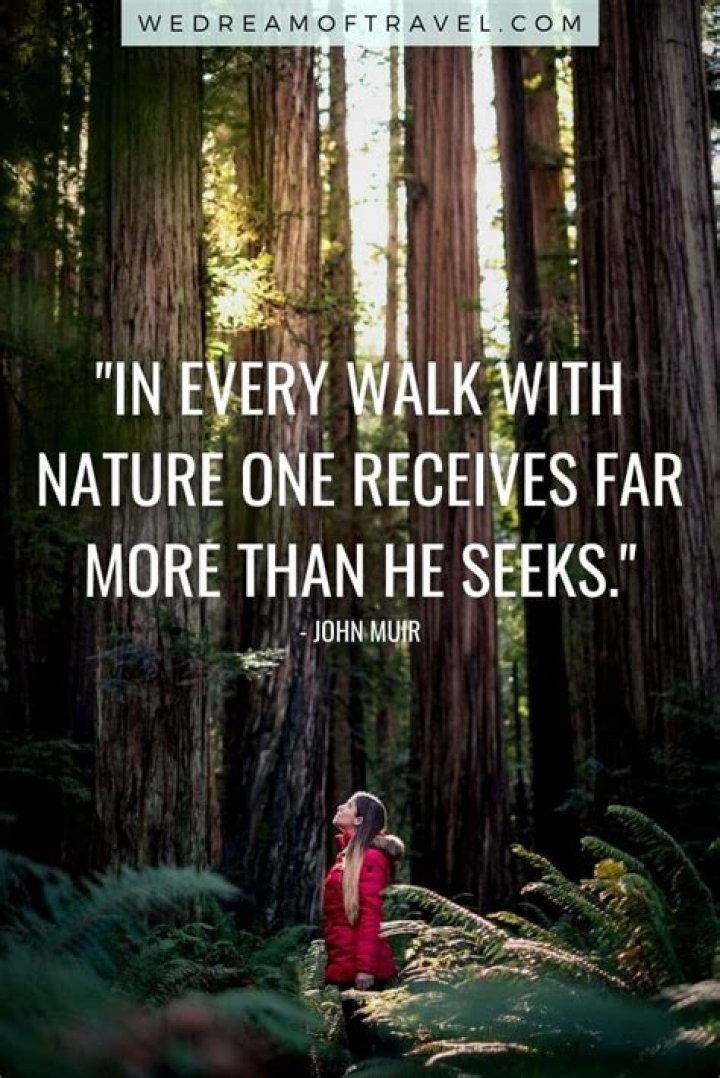 275+ Beautiful, Inspired Nature Quotes & Captions for Instagram ⋆ We