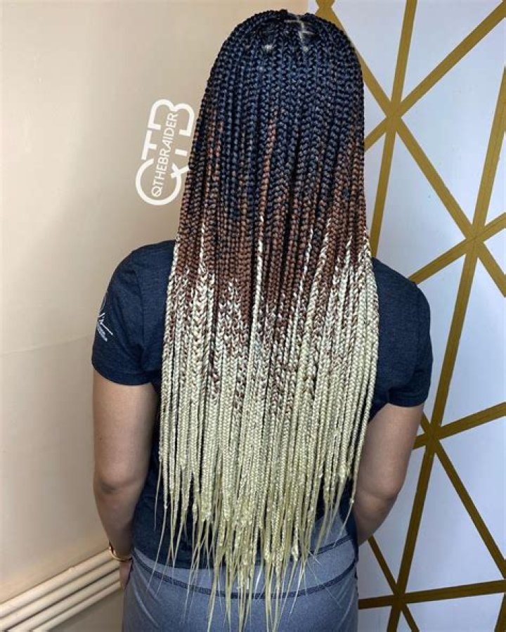 30 Trendy Box Braids Styles Stylists for 2021 Hair Adviser