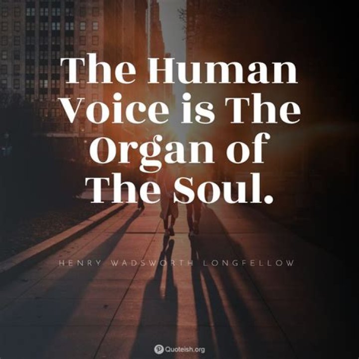 30+ Voice Quotes QUOTEISH