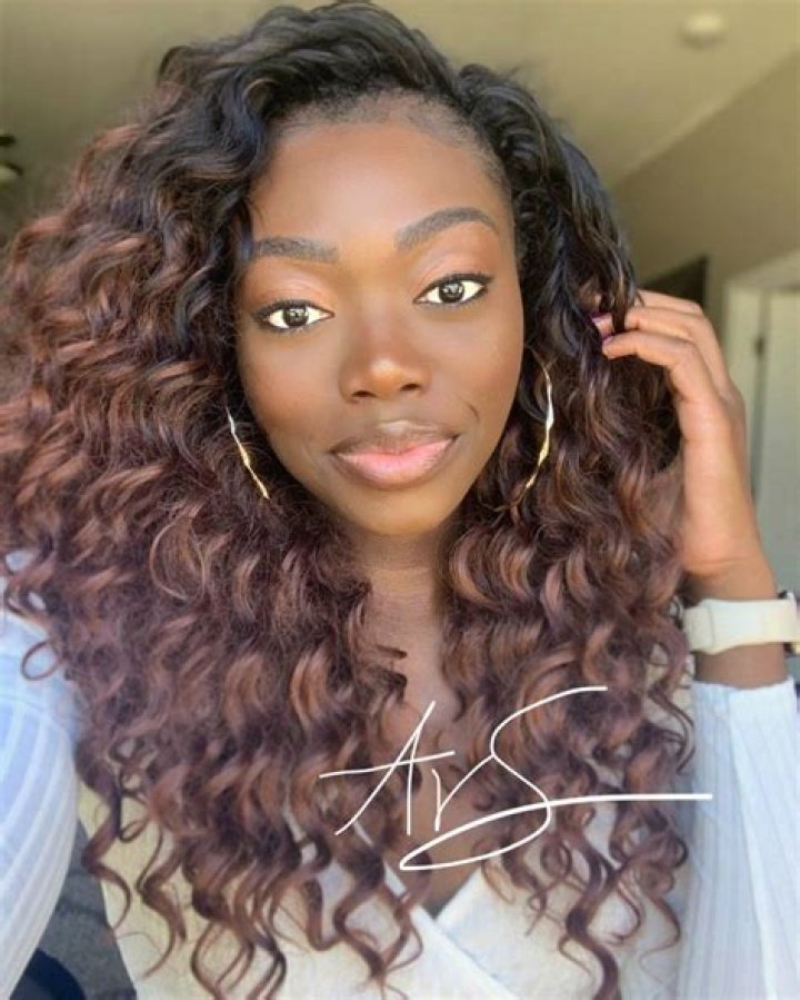 31 Crochet Braids Hairstyles Natural Hair w/ Protective Extensions