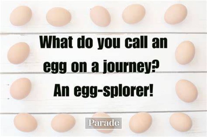 31 of the Best Egg Puns Reader's Digest