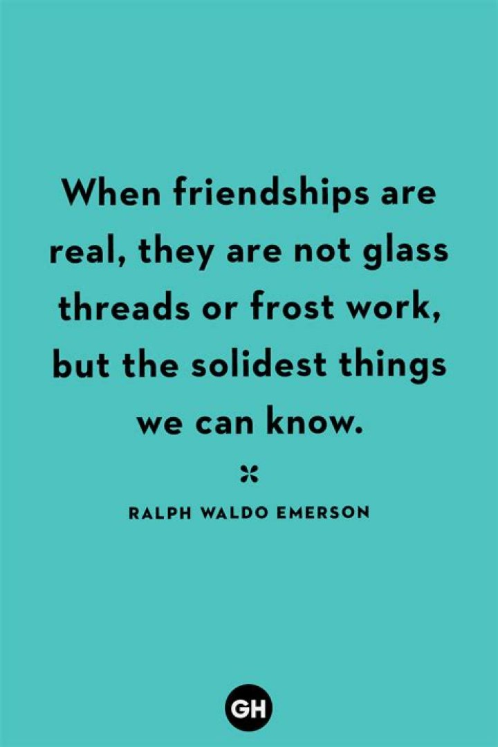 33 Best Friendship Quotes Sayings and Quotes To Share With Your Friends