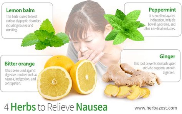 4 Herbs to Relieve Nausea How to relieve nausea, Remedies for nausea