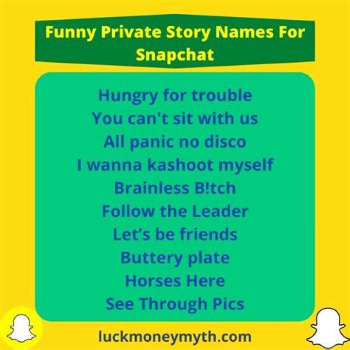 400+ Good Funny Private Story Names For Snapchat Best Ideas