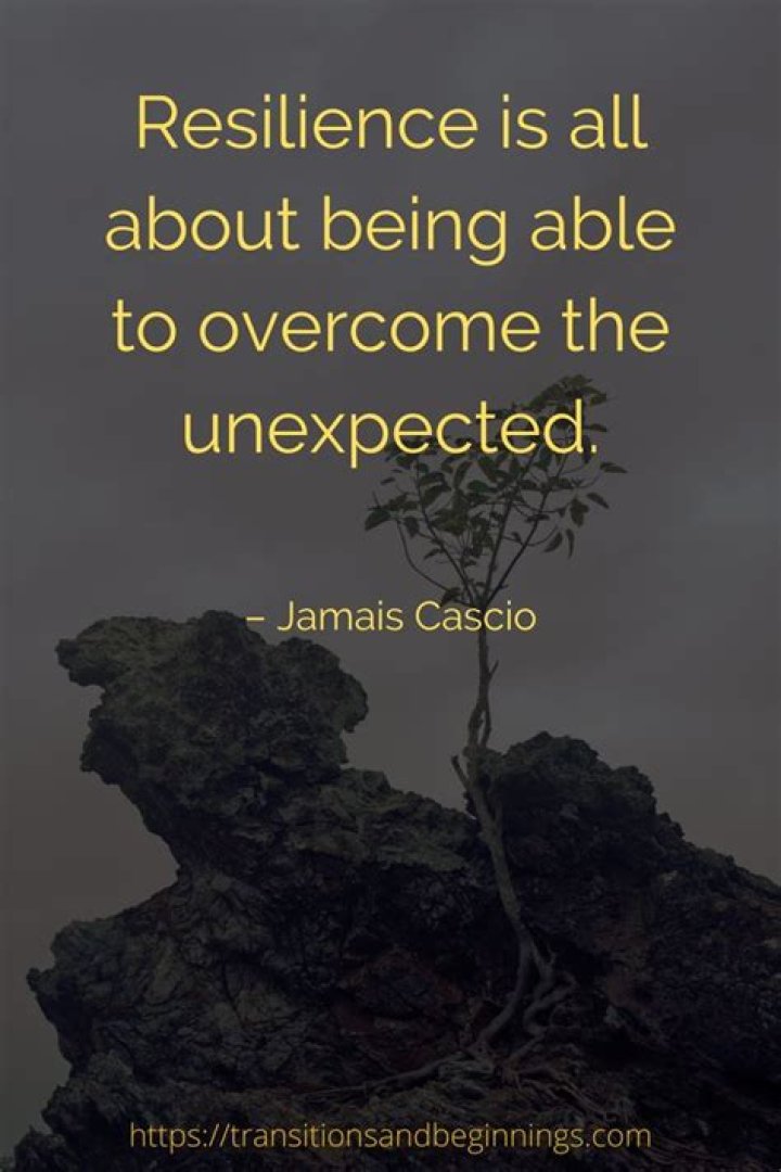 41 Resilience Quotes to Any Adversityhappierhuman blogengage