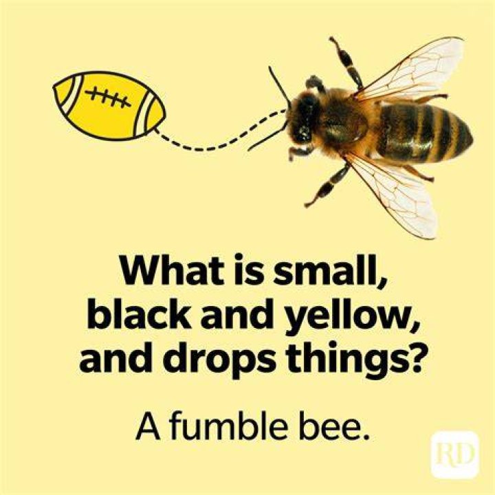46 Bee Puns Your Whole Hive Will Love Funny Bee Jokes & Honey Puns
