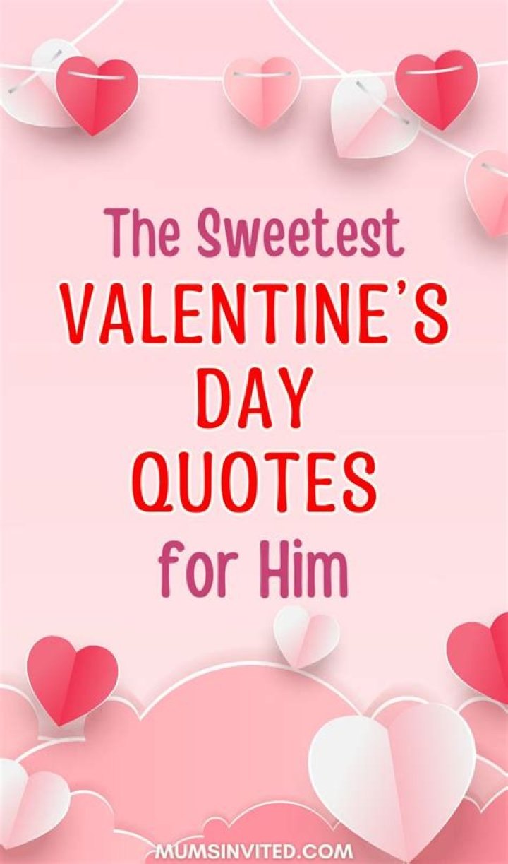 47 Cute Valentine Quotes Darling Quote