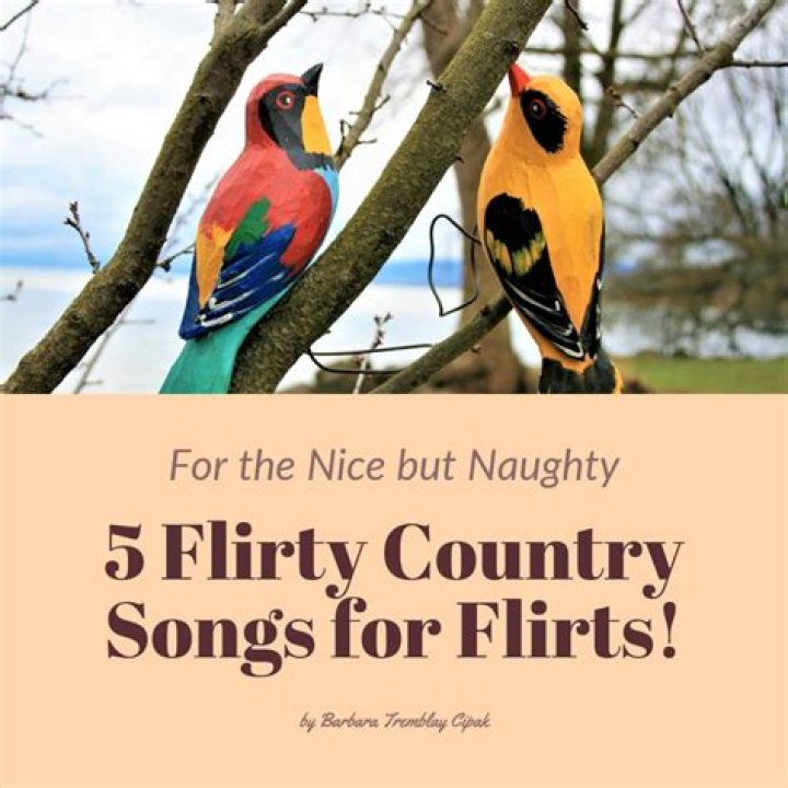 5 Flirty Country Songs for Flirts HubPages