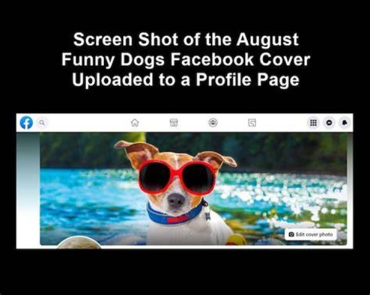 50 Best Funny Facebook Cover Photos