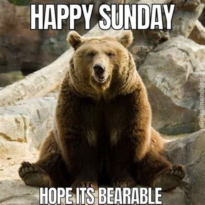 50 Funny Sunday Meme Images Photos & Pictures QuotesBae