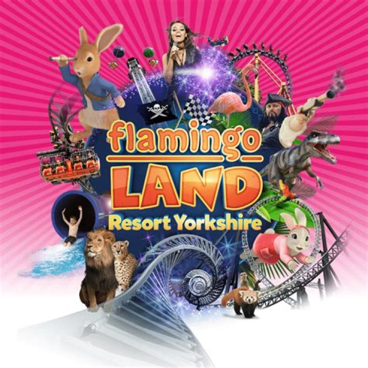 50 off Flamingo Shop Coupons, Promo Codes May, 2022 &mdash; Refermate