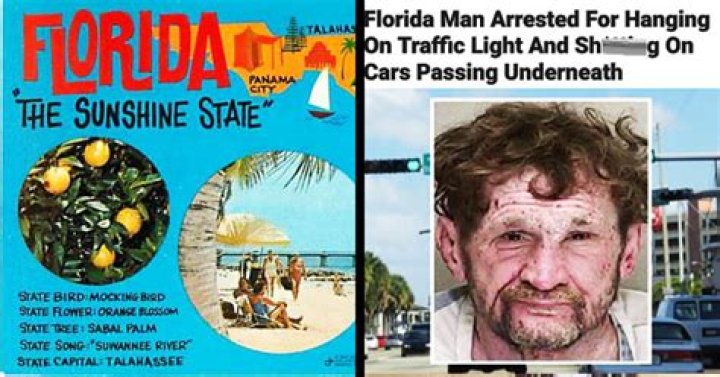 50 WTF Florida Man Memes and Headlines to Feed Your Pool Gators Funny