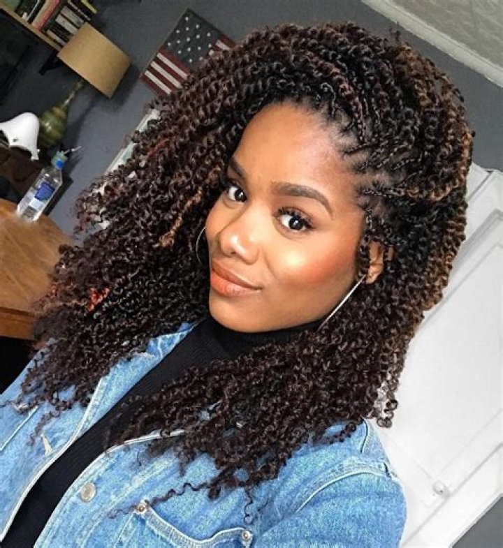 51 Kinky Twist Braids Hairstyles with Pictures Beautified Designs