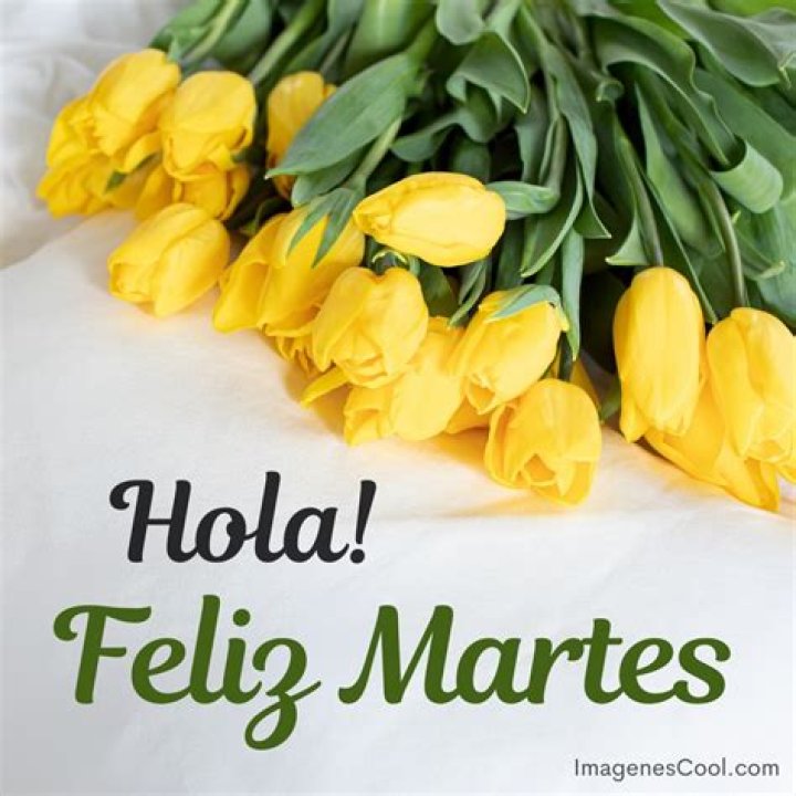 52+ Feliz Martes bellas im&aacute;genes para todos