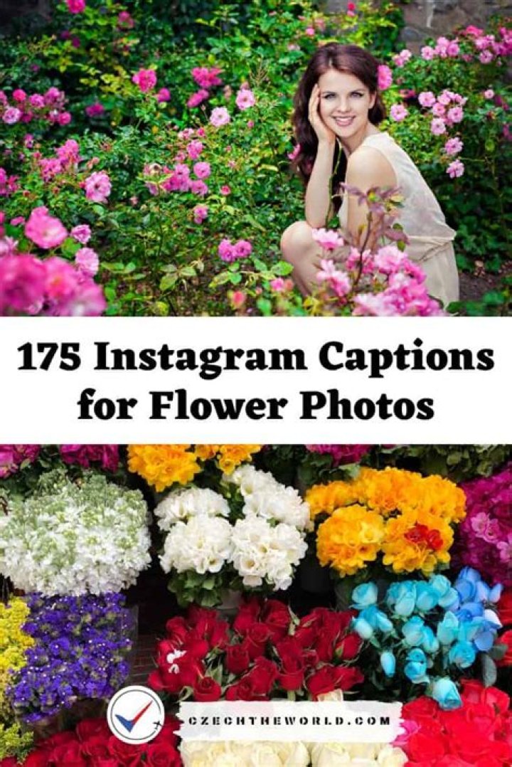 573 Best Instagram Captions for Flower Photos (You Can Use)