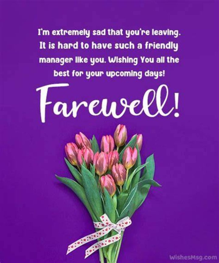 60+ Farewell Messages for Your Colleagues and Employees ToughNickel