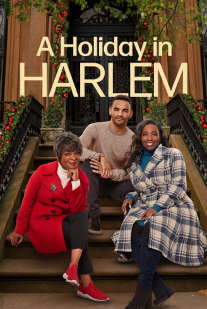 A Holiday in Harlem Hallmark Movie 2021 mrDustBin