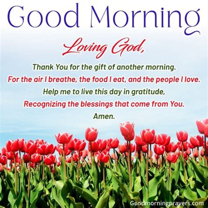 A Morning Prayer Your Daily Verse
