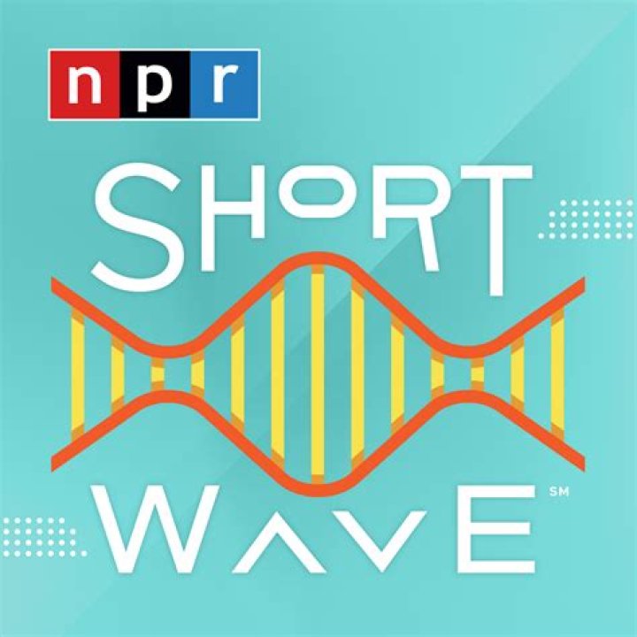 A Neuroscientist Explores The Illogical Behaviors Of The Mind In 'Idiot
