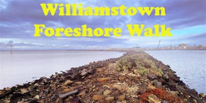 A Walk Through Williamstown with Becky Ann Baker Williamstown Theatre