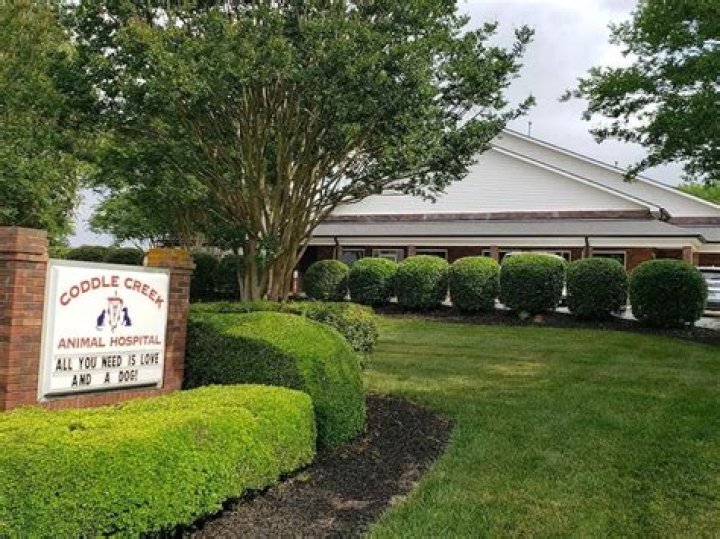 About Us Coddle Creek Animal Hospital in Concord, NC