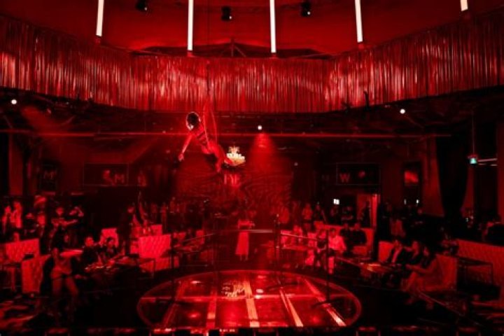 Adult Entertainment Club &laquo;Blue Flame Lounge&raquo;, reviews and photos, 1097