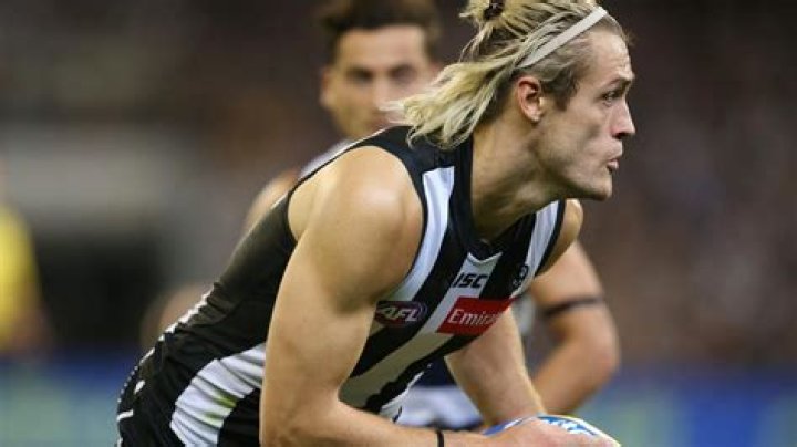 AFL news 2019 Darcy Moore similarities to Peter Knights, Hawthorn
