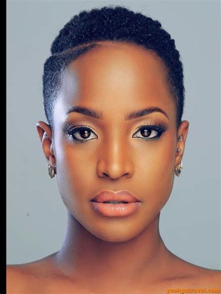 African American Short Hairstyles Best 23 Haircuts Black Hair Page