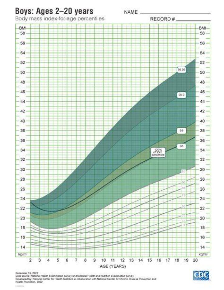 Age Chart 24 year old man nonsmoker Ryan