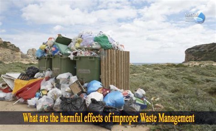 Aggregate 78+ harmful effects of polythene bags latest in.duhocakina