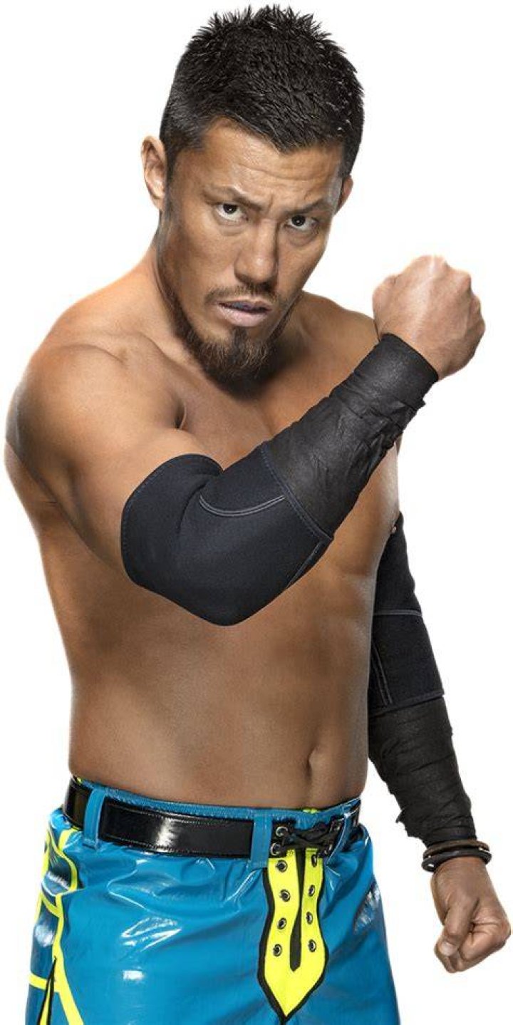 Akira Tozawa 2020 by NuruddinAyobWWE on DeviantArt in 2021 Wwe