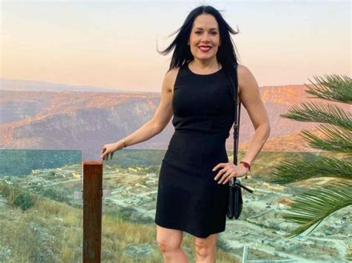 Alejandro Fern&aacute;ndez Net Worth Wife Famous People Today