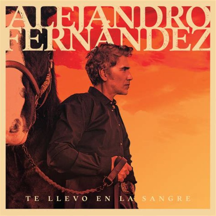 Alejandro Fern&aacute;ndez Spotify