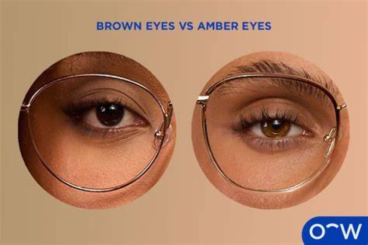 Amber eyes Amber eyes, Eyes, Beauty