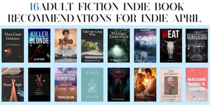 American Fiction Vol. 16 PAPERBACK Bruce Pratt, Editor Small Press