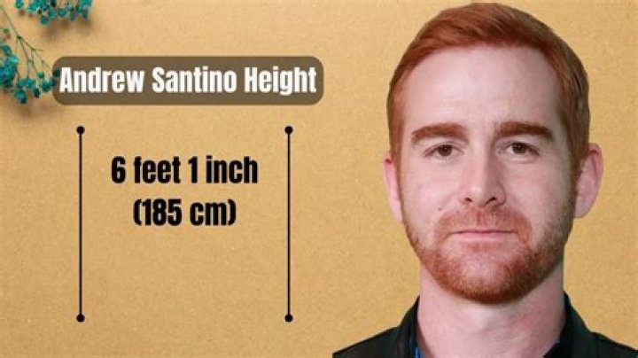 Andrew Santino Height, Weight, Age, Girlfriends, Biography