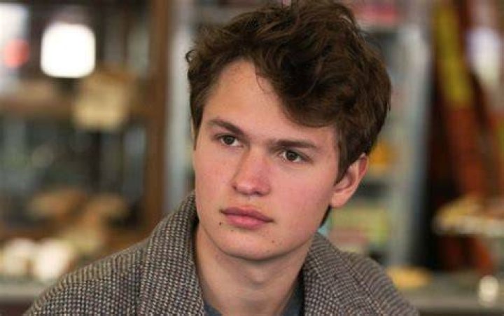 Ansel Elgort Denies Sexual Assault Allegations Vanity Fair