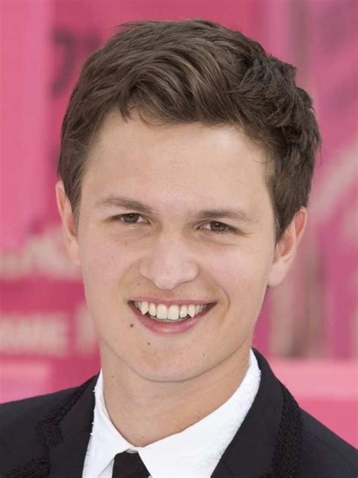 Ansel Elgort Pictures Rotten Tomatoes
